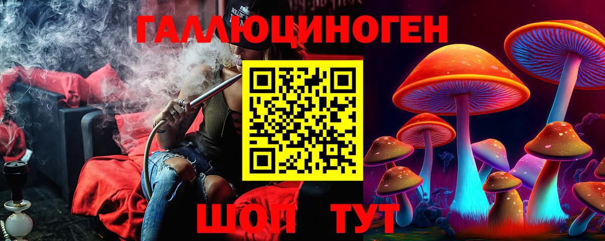 Псилоцибиновые грибы прущие грибы Кропоткин