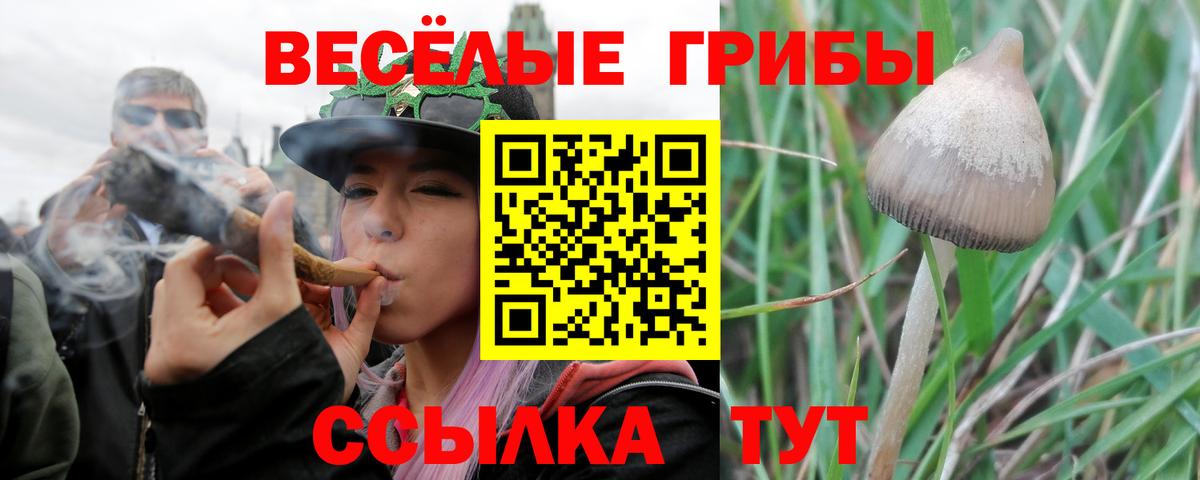 даркнет сайт  Вход с VPN  Кропоткин  Галлюциногенные грибы Cubensis 